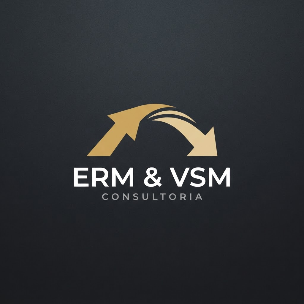 ERM & VSM Consultoria